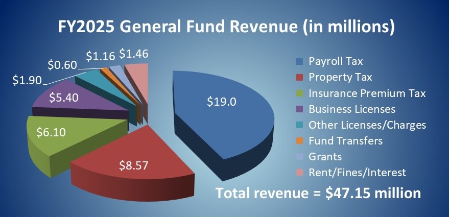Fiscal Year 2025 General Fund Pie Chart
